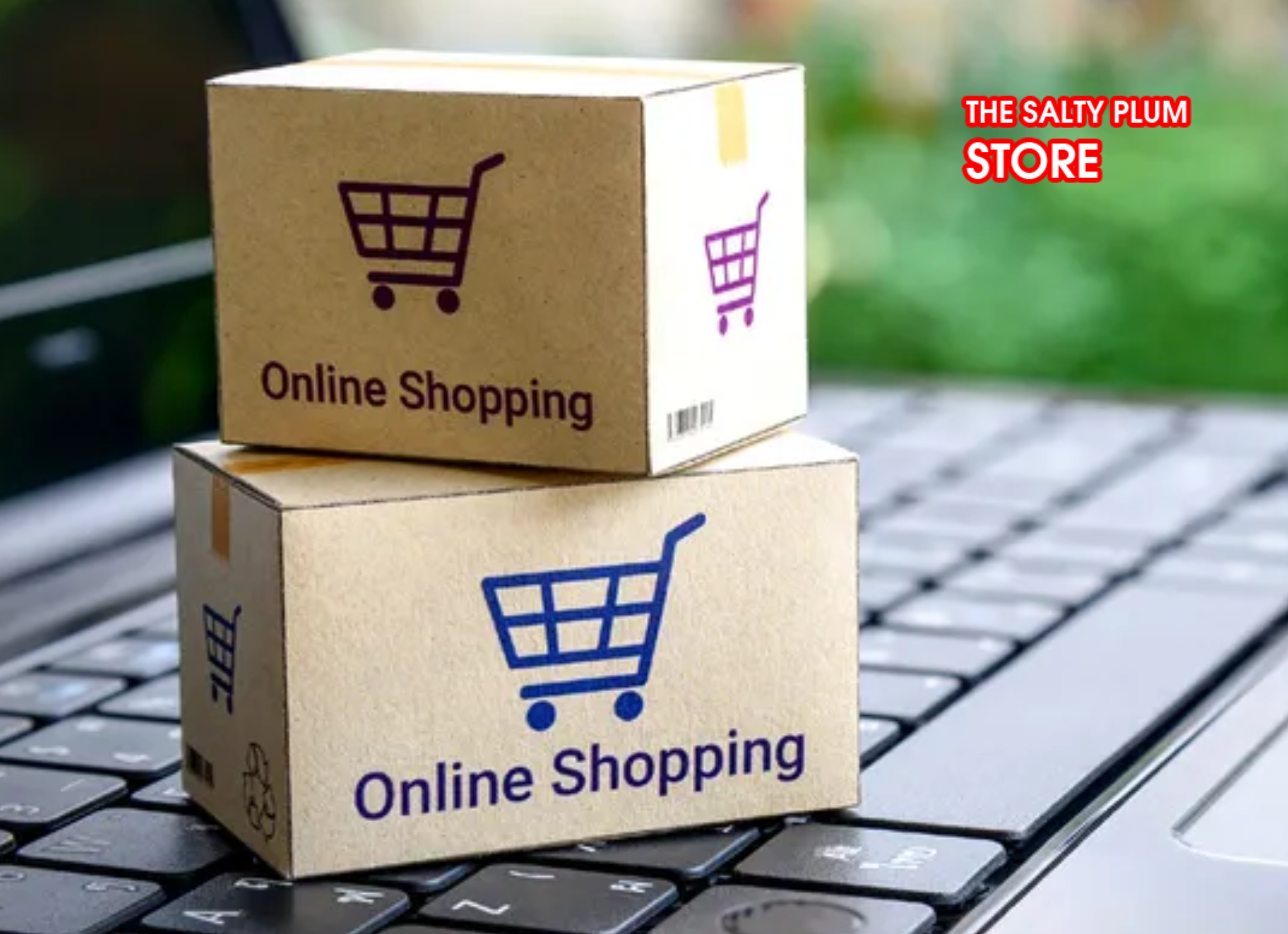 buy-salty-plum-online-australia-delivery