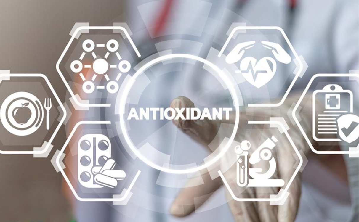  Rich-in-Antioxidants