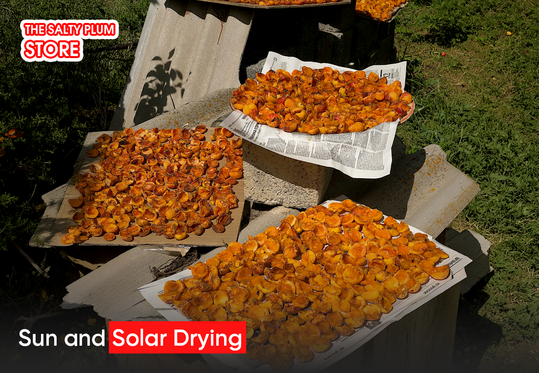 Sun and Solar Drying