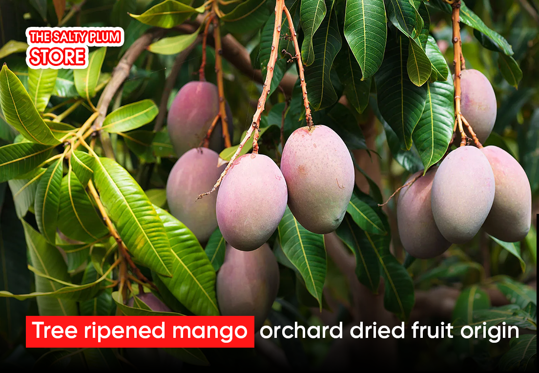 Tree ripened mango orchard dried fruit origin