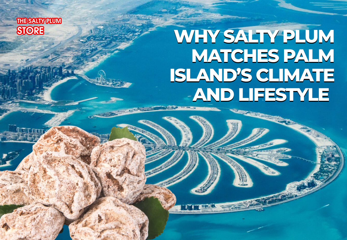 Why Salty Plum Matches Palm Island’s Climate and Lifestyle